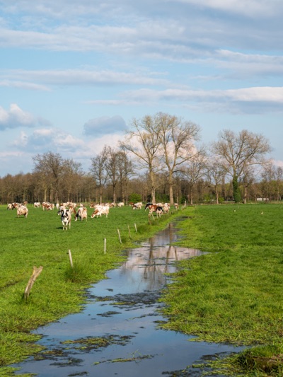 Vlaams-Brabant